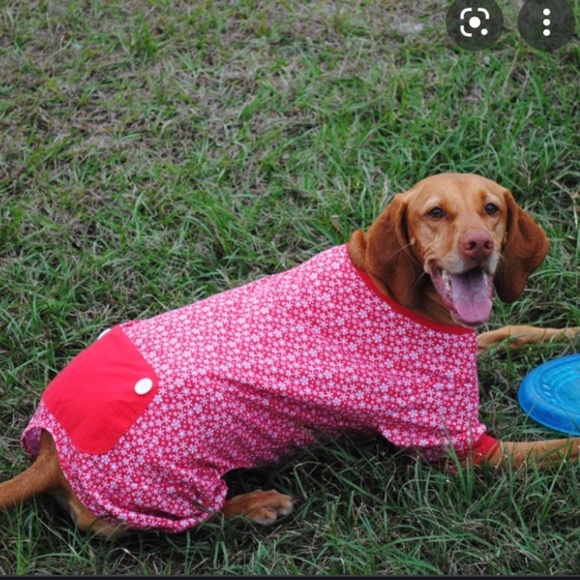 Holiday Dog Pajamas Size Large - Picture 1 of 8